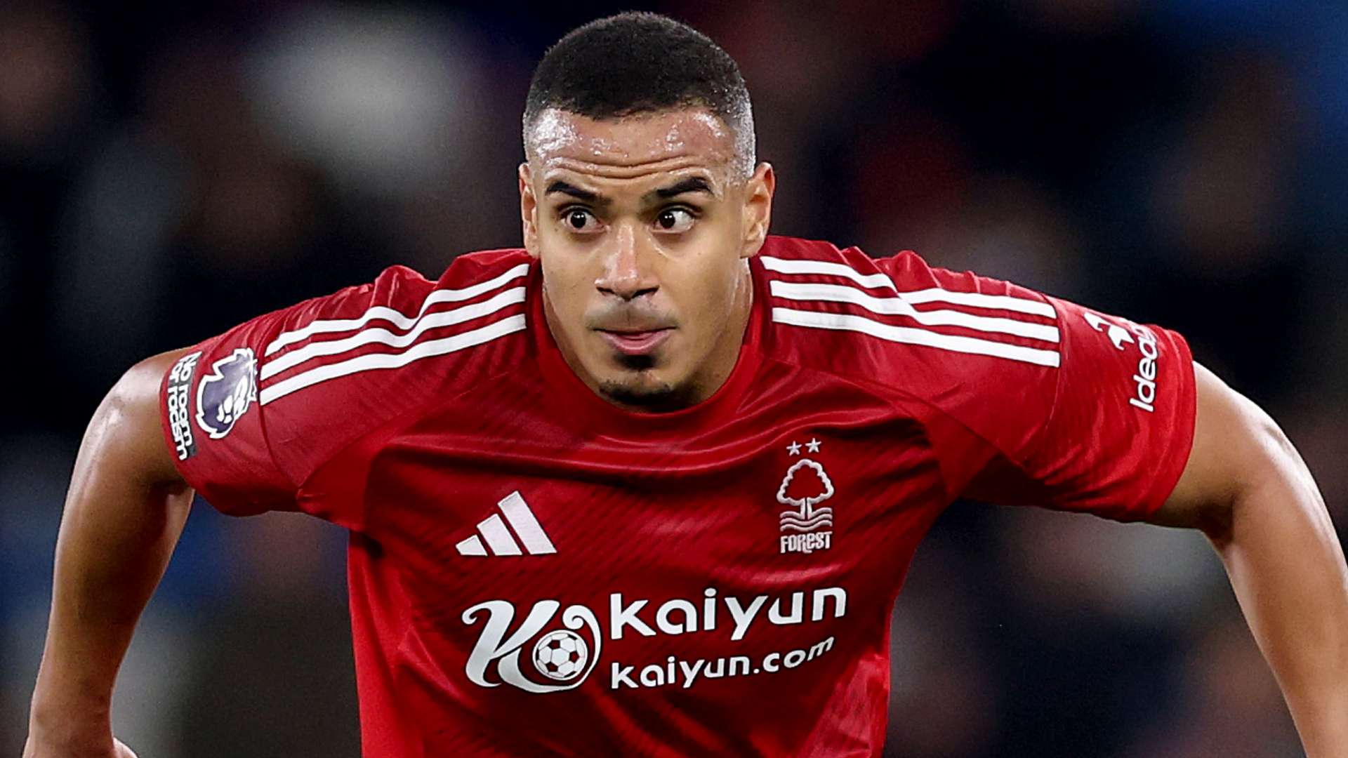 性以及環保 性以及環保